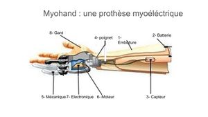 Myohand description.jpg