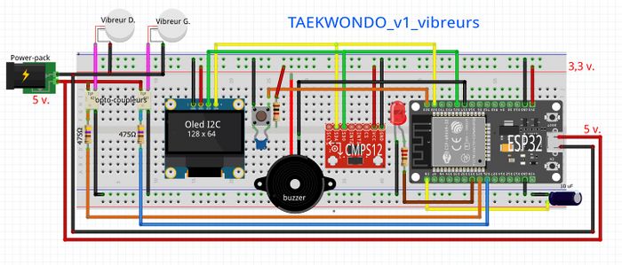 Taekwondo-v1-vibreurs.jpg